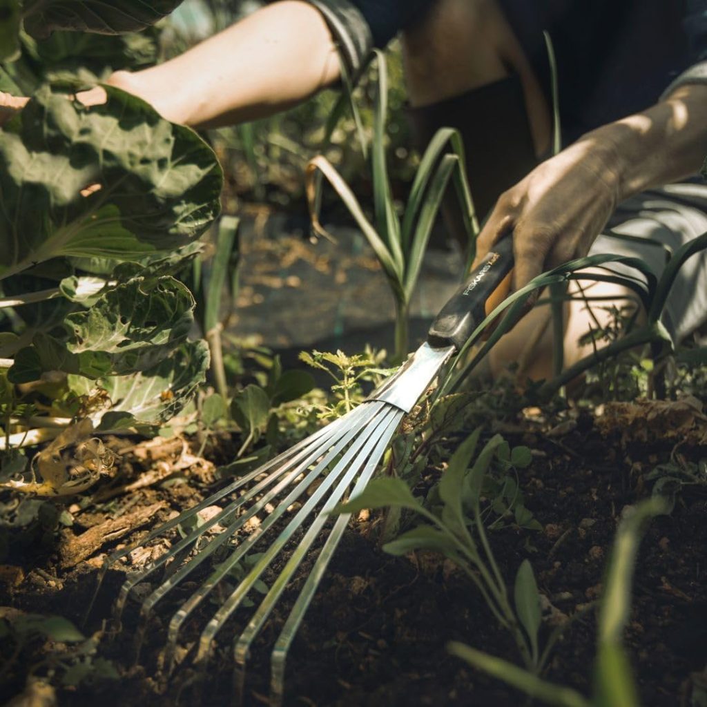 Fiskars Xact Hand Rake - Heavy Duty Gardening Hand Tool with Hang Hole - Lawn and Yard Tools - Black/Silver