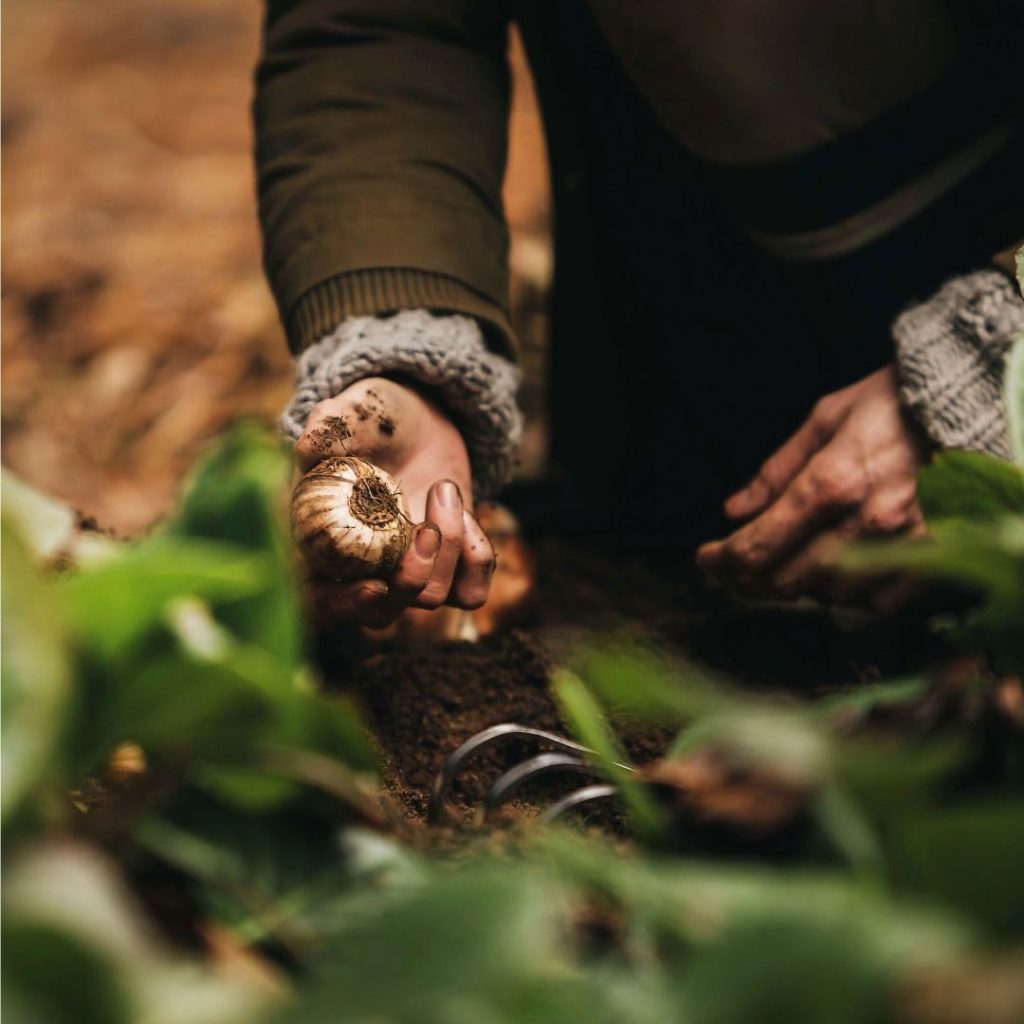 Fiskars Xact Hand Rake - Heavy Duty Gardening Hand Tool with Hang Hole - Lawn and Yard Tools - Black/Silver