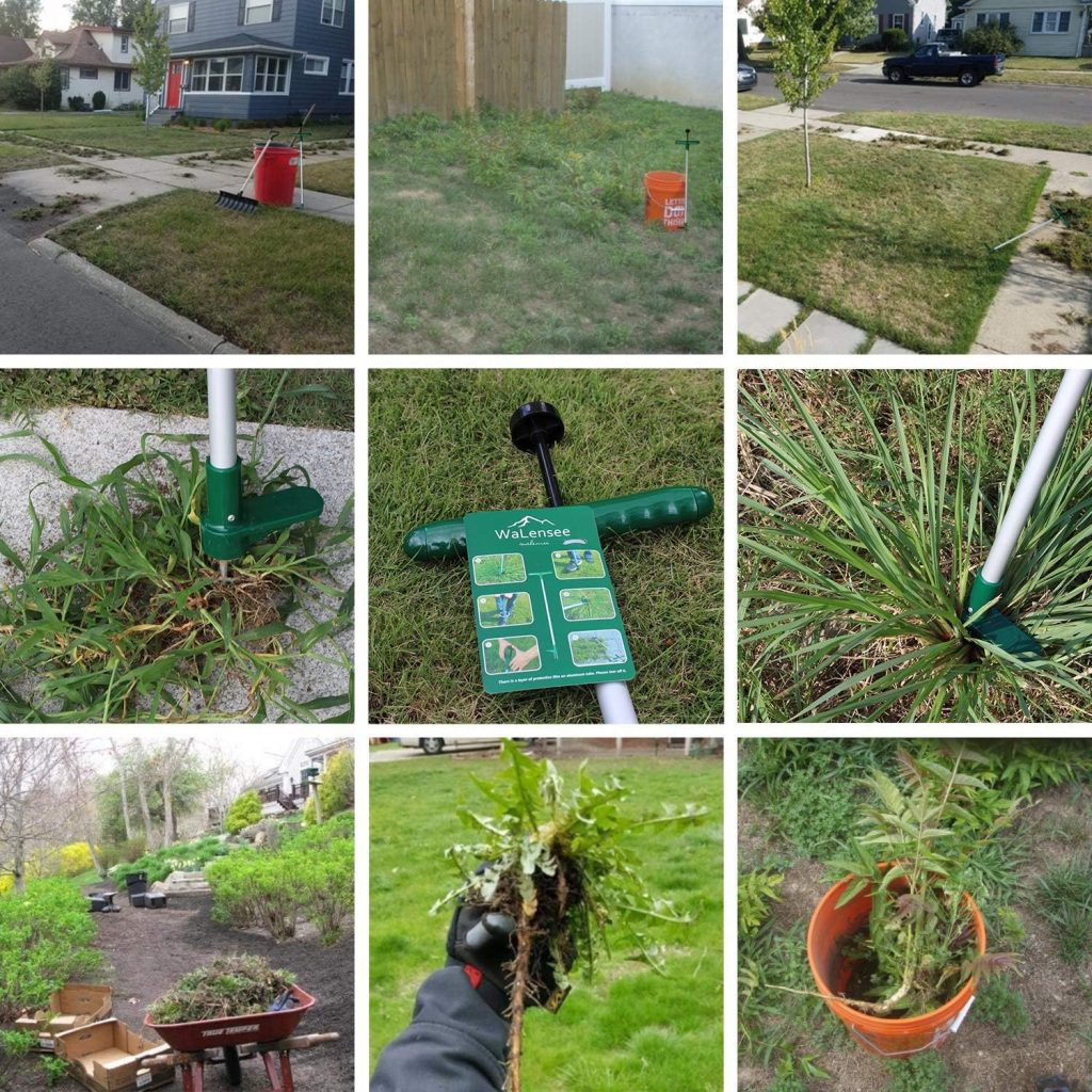 Walensee Weed Puller, Stand Up Weeder Hand Tool, Long Handle Garden Weeding Tool with 3 Claws, Hand Weed Hound Weed Puller for Dandelion, Standup Weed Root Pulling Tool and Picker, Grabber (1 Pack)